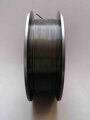 FIBER3D PMMA Filament 1.75 mm 1 kg